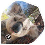 Plumas Bulls Darts DE BULL'S Motex Flights Standard Koala - 3