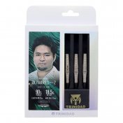 Dardos Trinidad Darts Olivares Type 2 Soft 90% 18.5g - 3